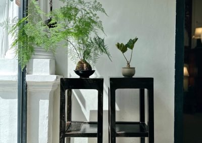 a pair of antique Shanxi chinese black lacquered flower stands with hoof feet