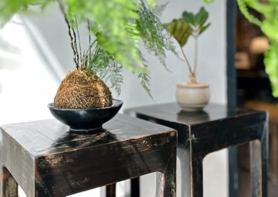 A close up of a pair of black lacquered Ming-style chinese flower stands