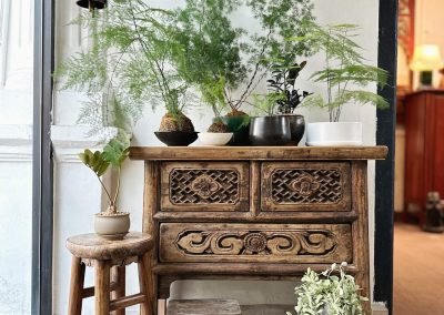 Chinese antique furniture, Shanxi coffer carved table, stools, rustic wooden bowls and Ming ferns against a white wall